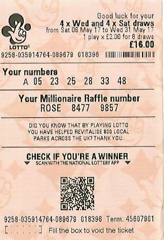 your lotto and millionaire raffle numbers